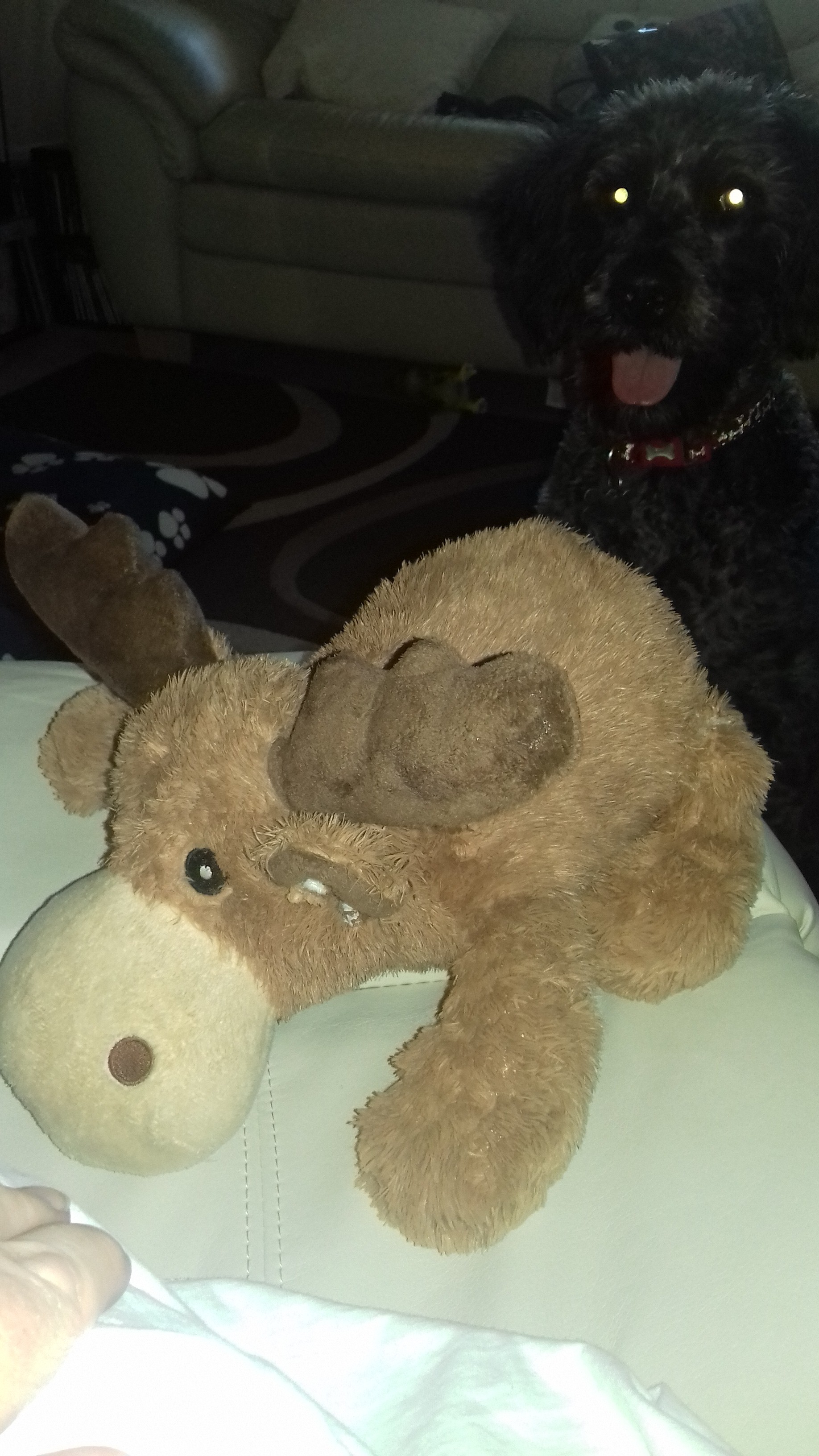 Ralph and moose